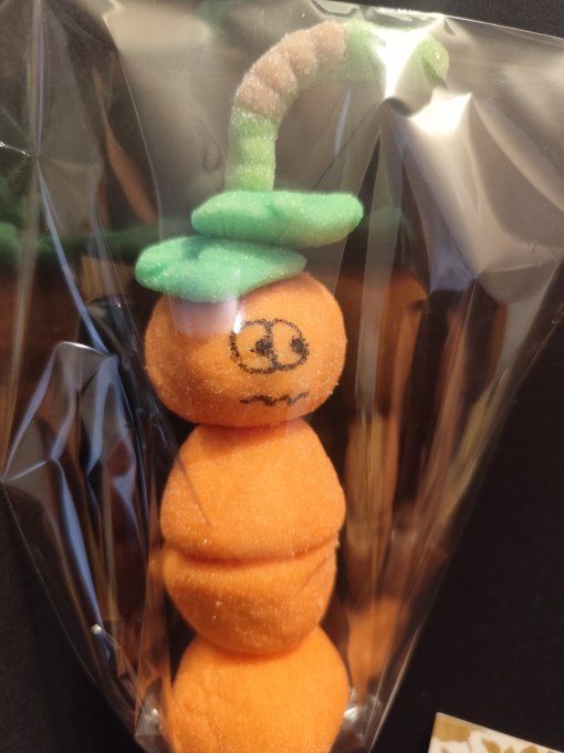 Brochette de bonbons "Citrouille"