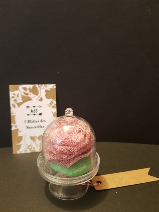 bonbon-rose-sous-cloche